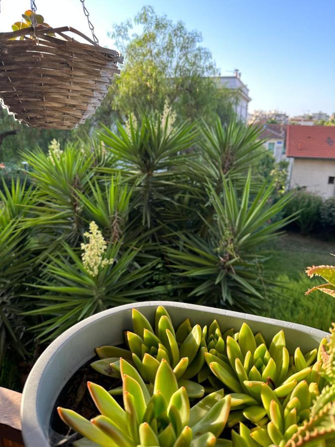 Location De Chambre Privee Dans Residence Prive, Jardins Et Parking Gratuit 1 Min To Tramway Et 9 Min De Centre-Ville, Accessibilite A Plusieurs Transports 니스 외부 사진